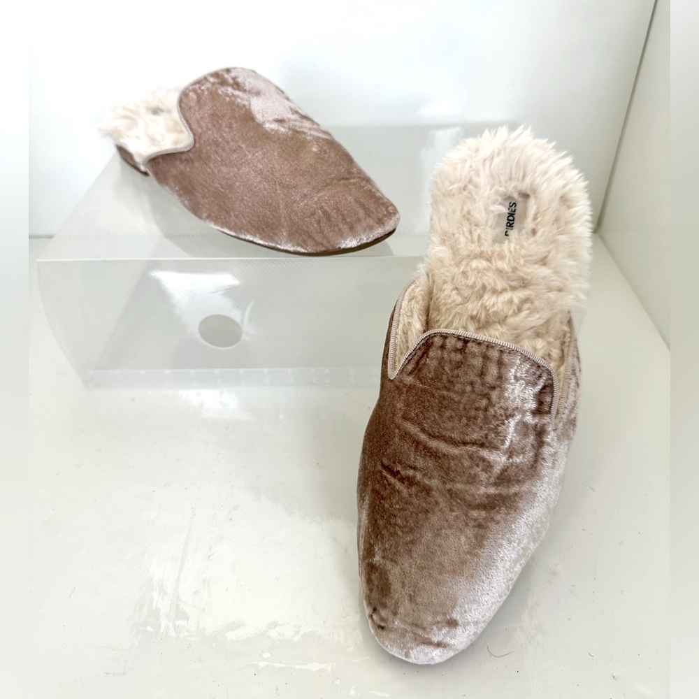 Birdies The Phoebe Champagne Velvet Slippers with Plush Lining